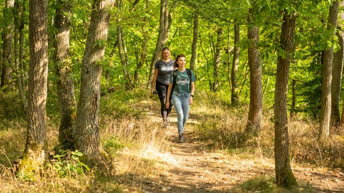 Zwei Wanderinnen auf einem schmalen Pfad zwischen Bäumen die rechts und links des Pfades stehen