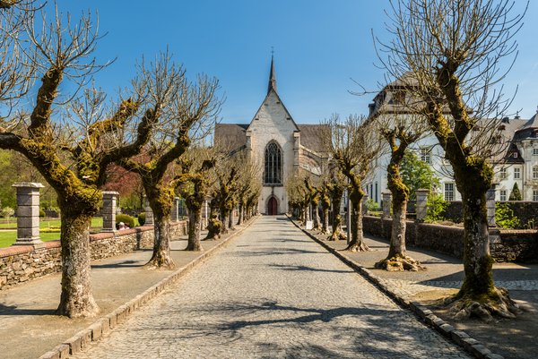 Allee mit Bäumen im Frühling. Diese Allee führ auf die Abteikirche zu