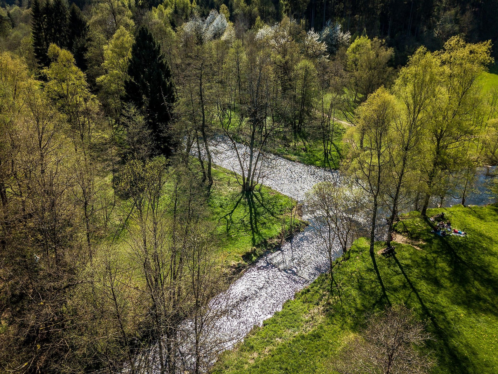 Nisterzusammenfluss Kroppacher Schweiz