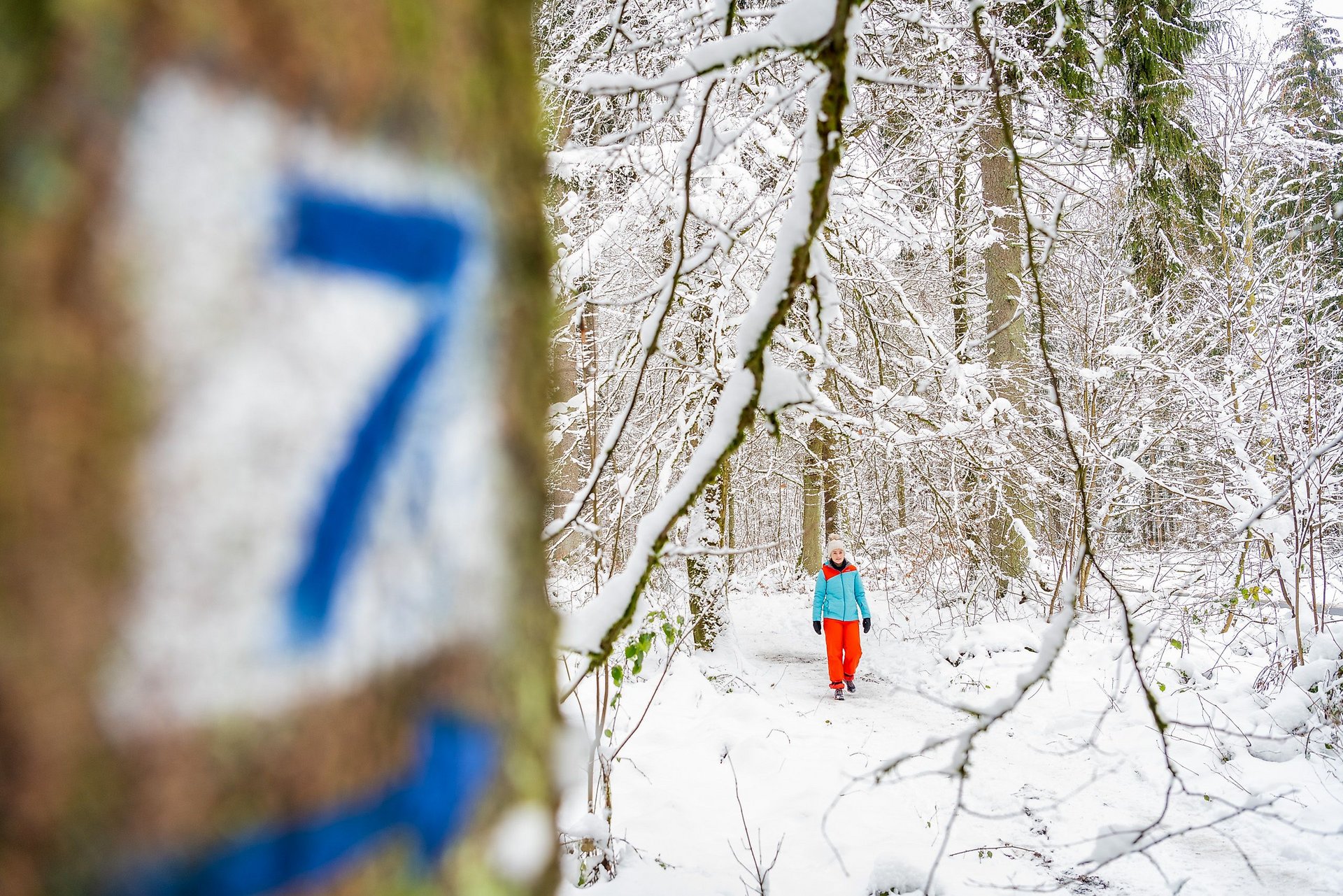 7 Weiher-Weg in Winterlandschaft