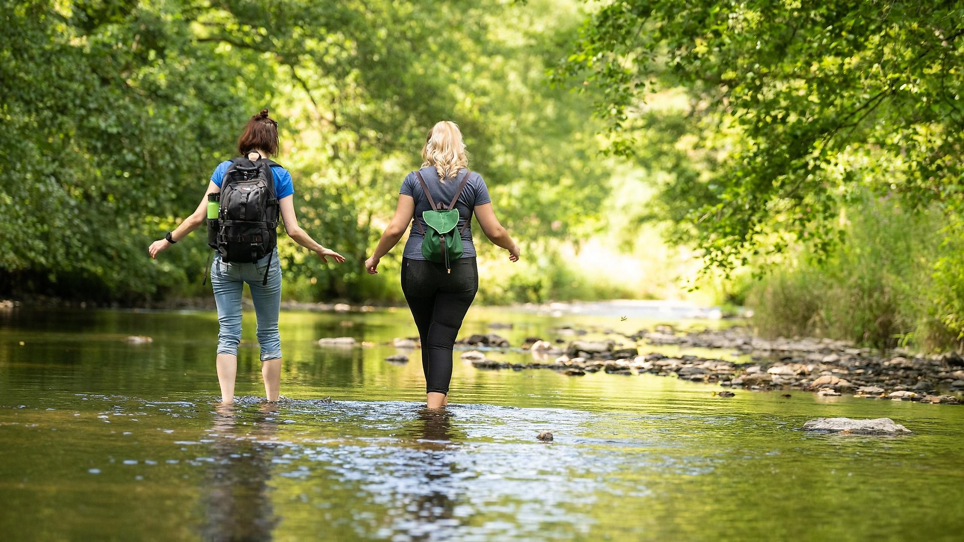 Wandern in der Nister