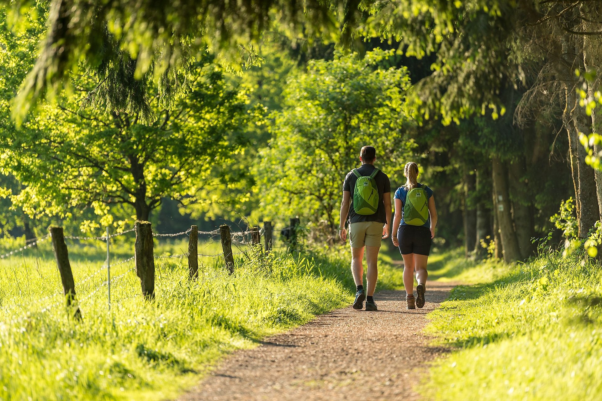 Wanderweg am Dreifelder Weiher