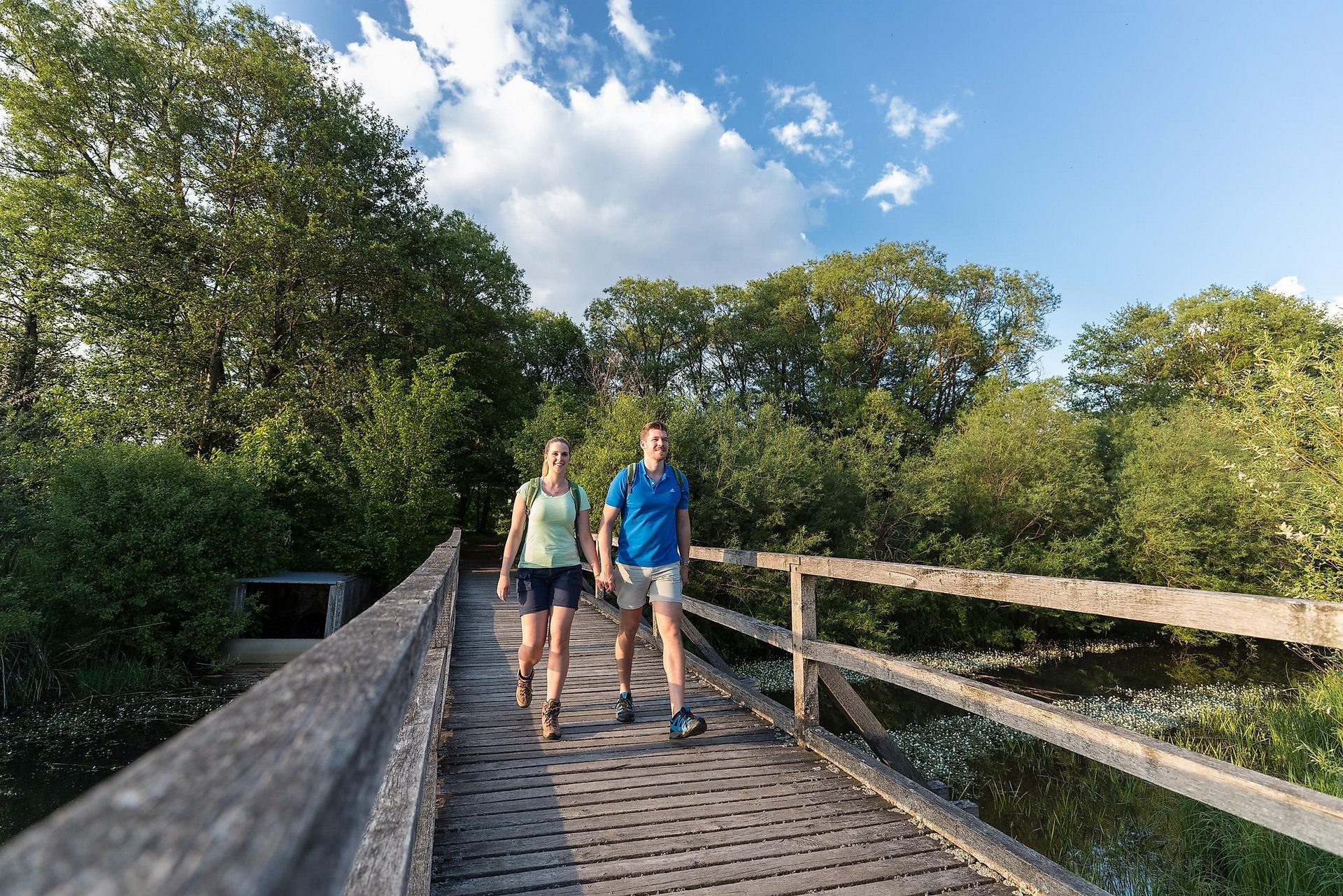 Brücke am Dreifelder Weiher 1