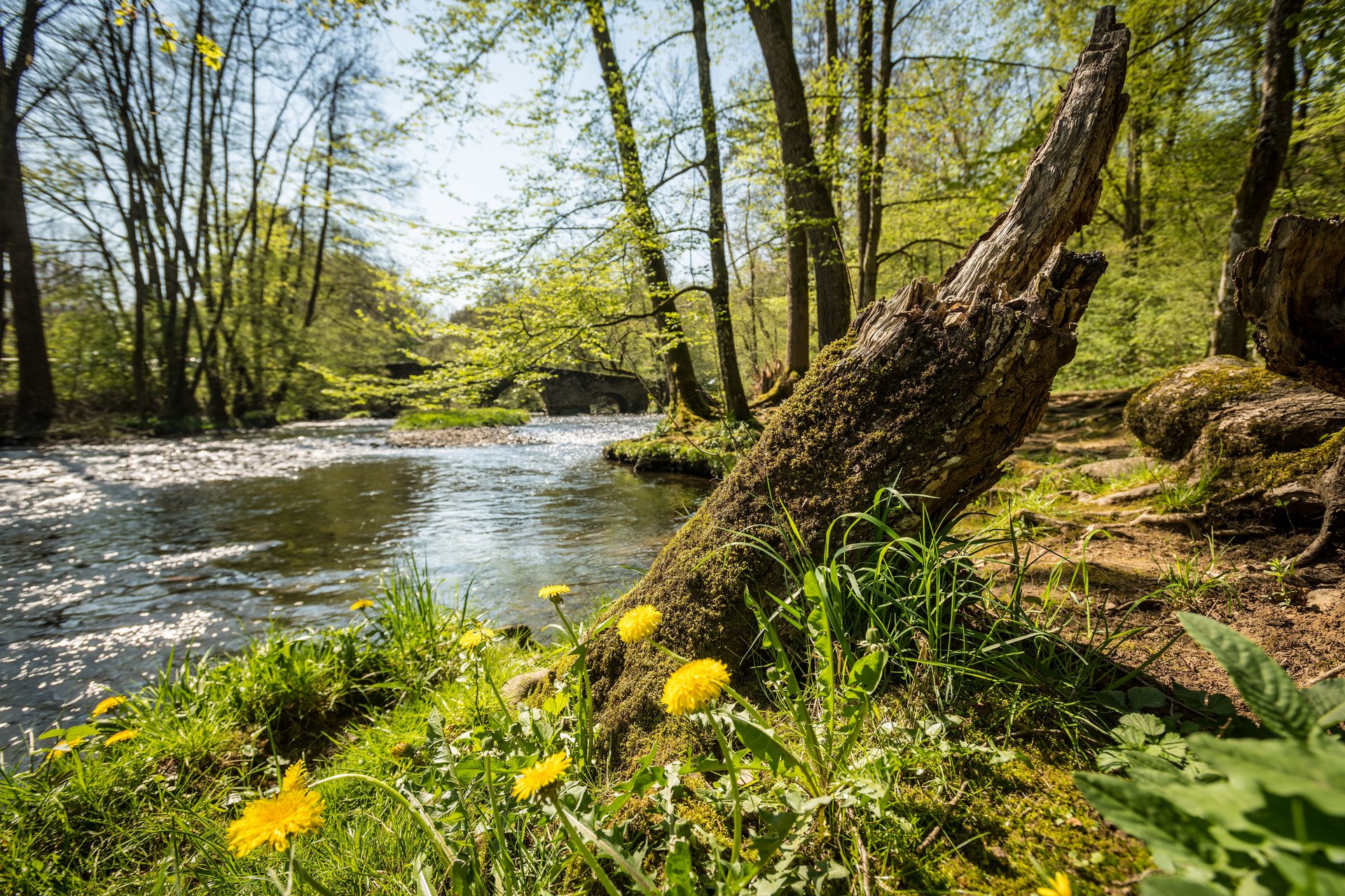 Blick auf die Große Nister