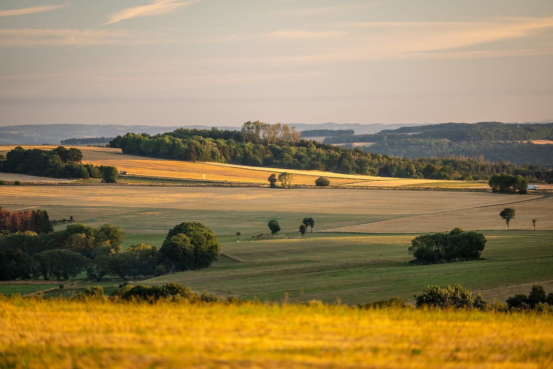 Ausblick vom Hebeberg