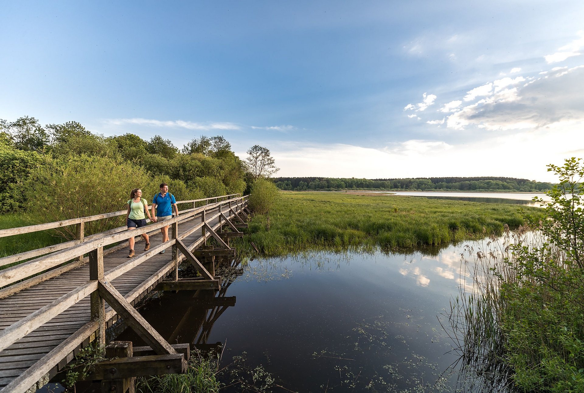 Brücke am Dreifelder Weiher