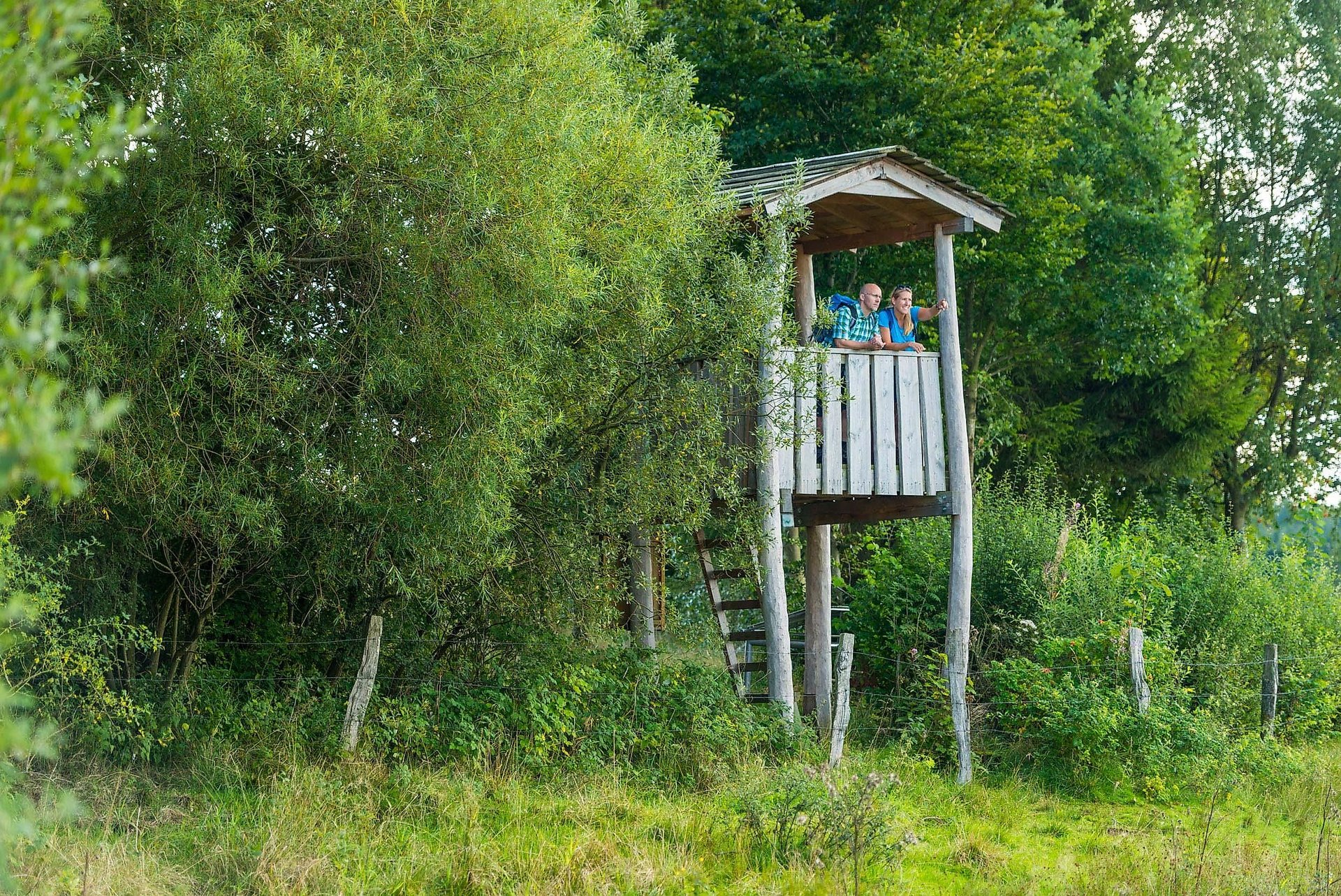 Hochsitz am Dreifelder Weiher 1