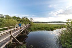 Brücke am Dreifelder Weiher 2