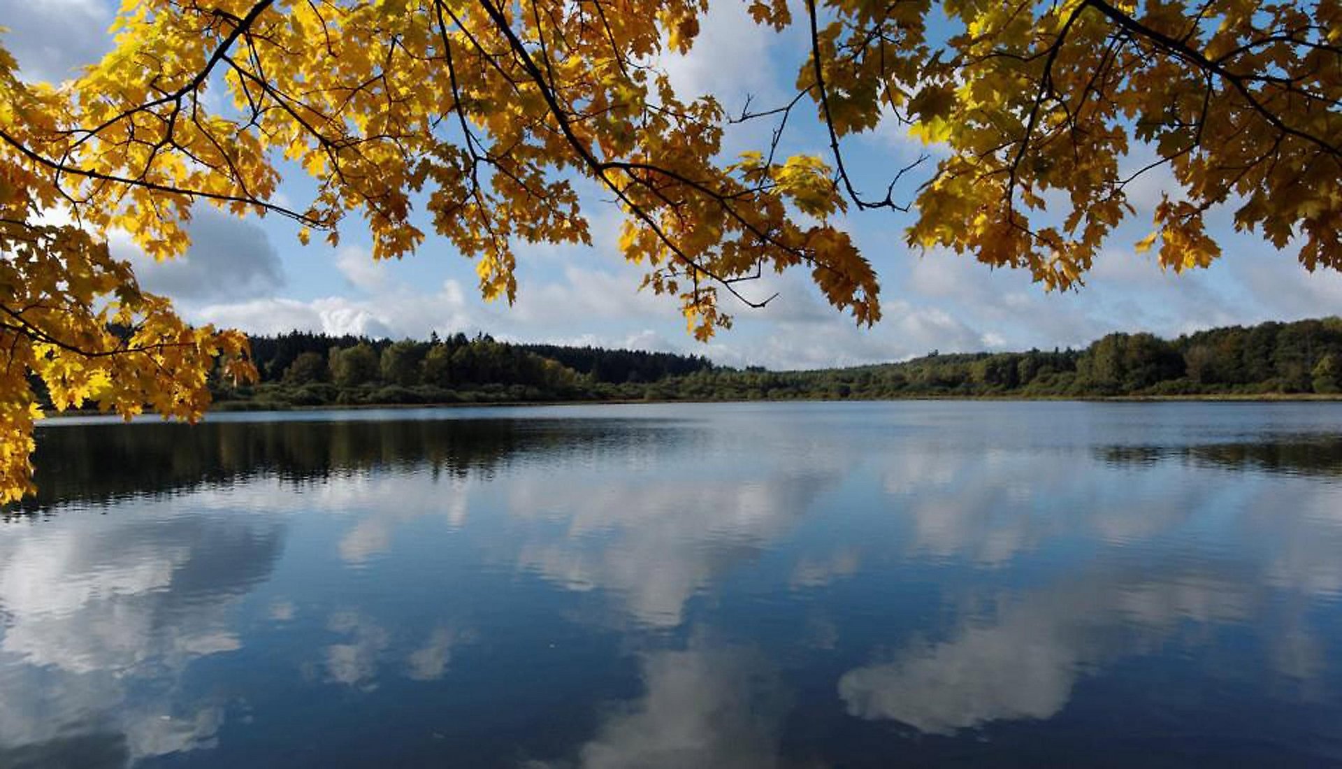 Haidenweiher