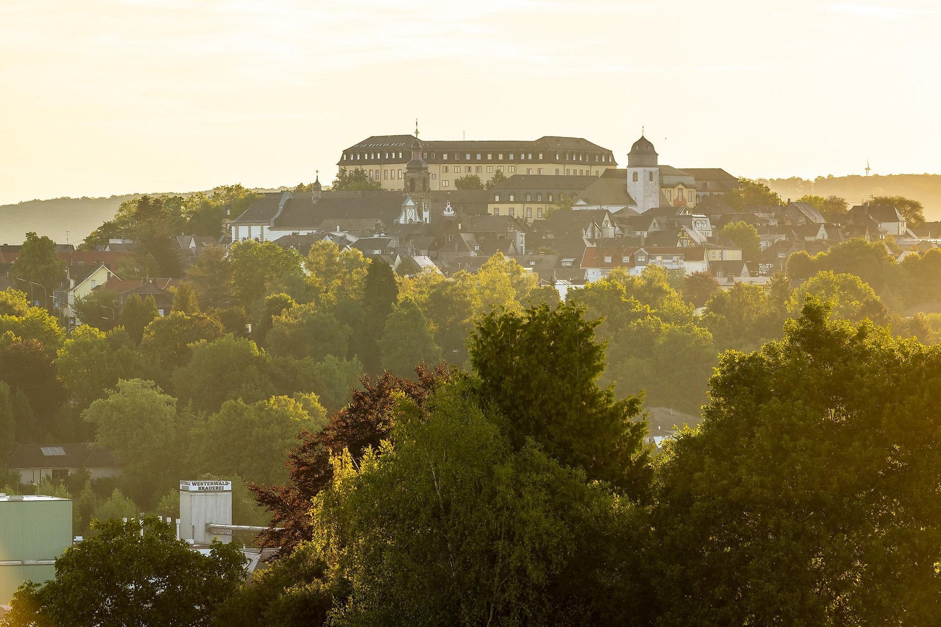 Ausblick vom Hebeberg zum Hachenburger Schloss