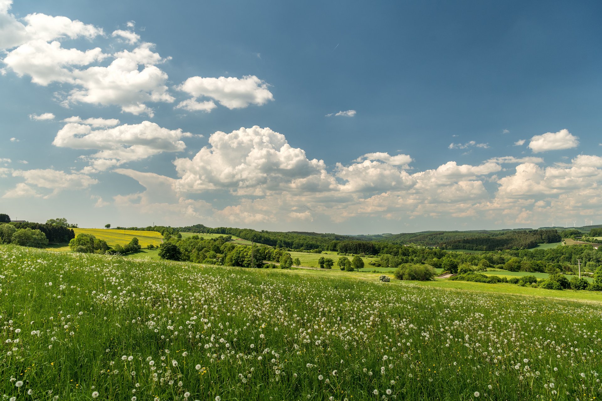 Landschaft rund um Hachenburg