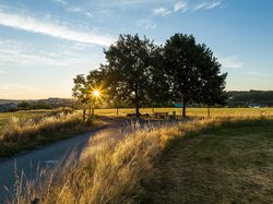 Sonnenuntergang am Hebeberg