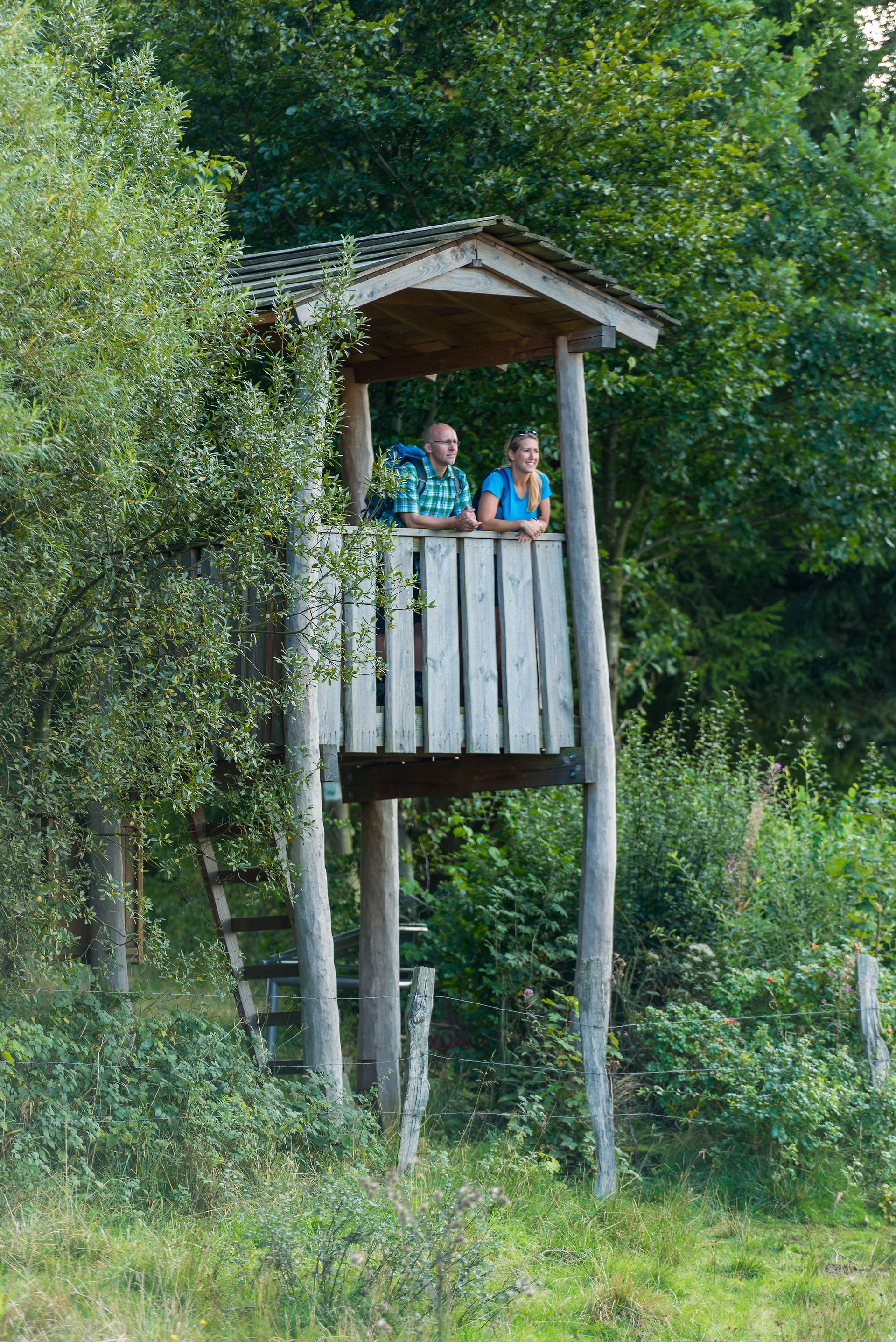 Hochsitz am Dreifelder Weiher