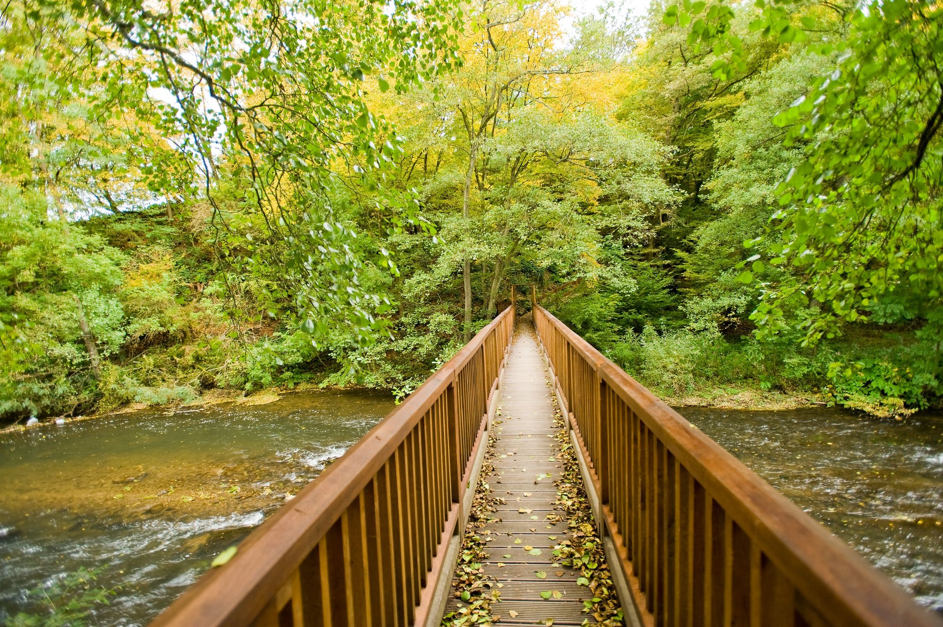 Nisterbrücke