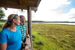 Hochsitz am Dreifelder Weiher 2