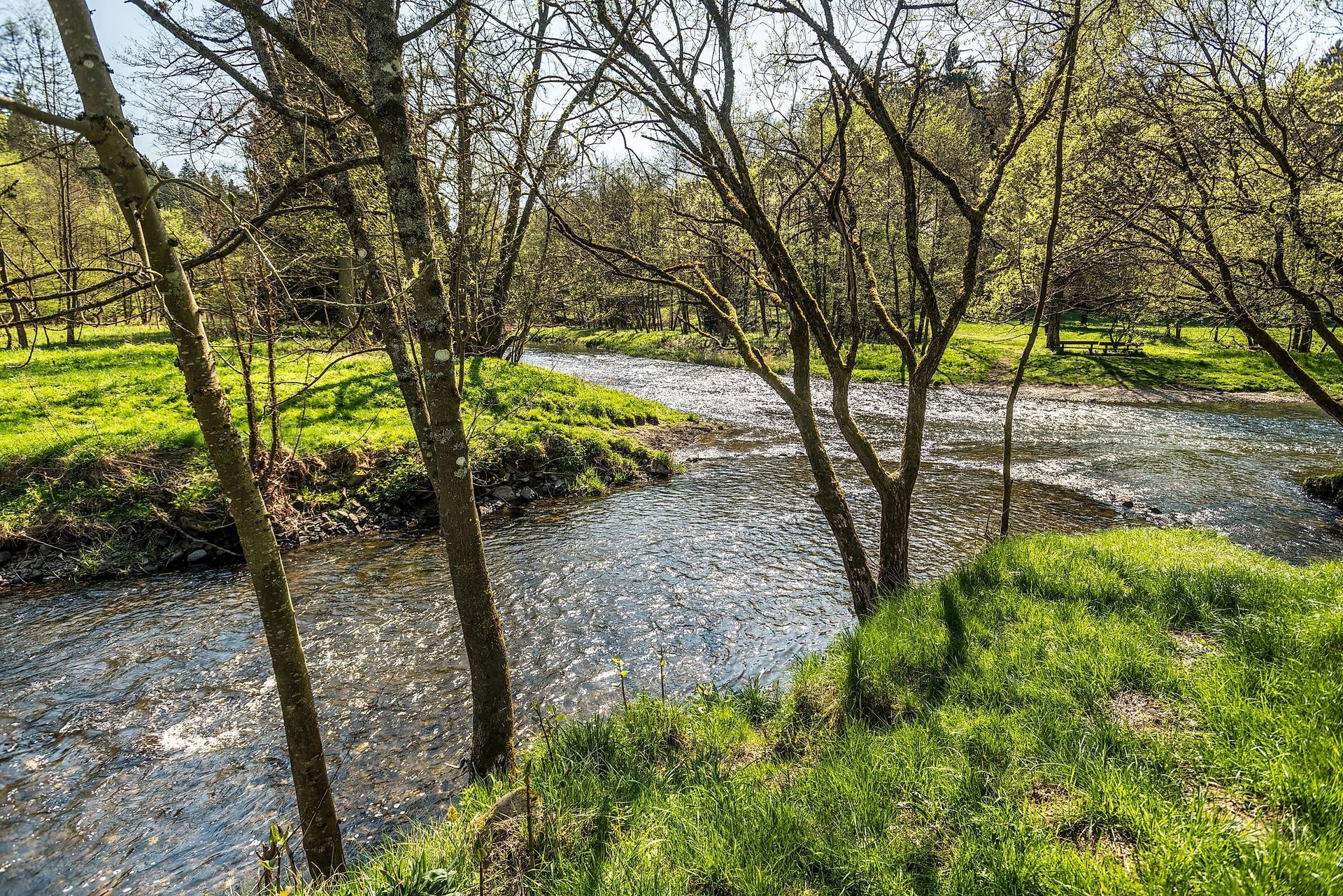 Nisterzusammenfluss Kroppacher Schweiz_1