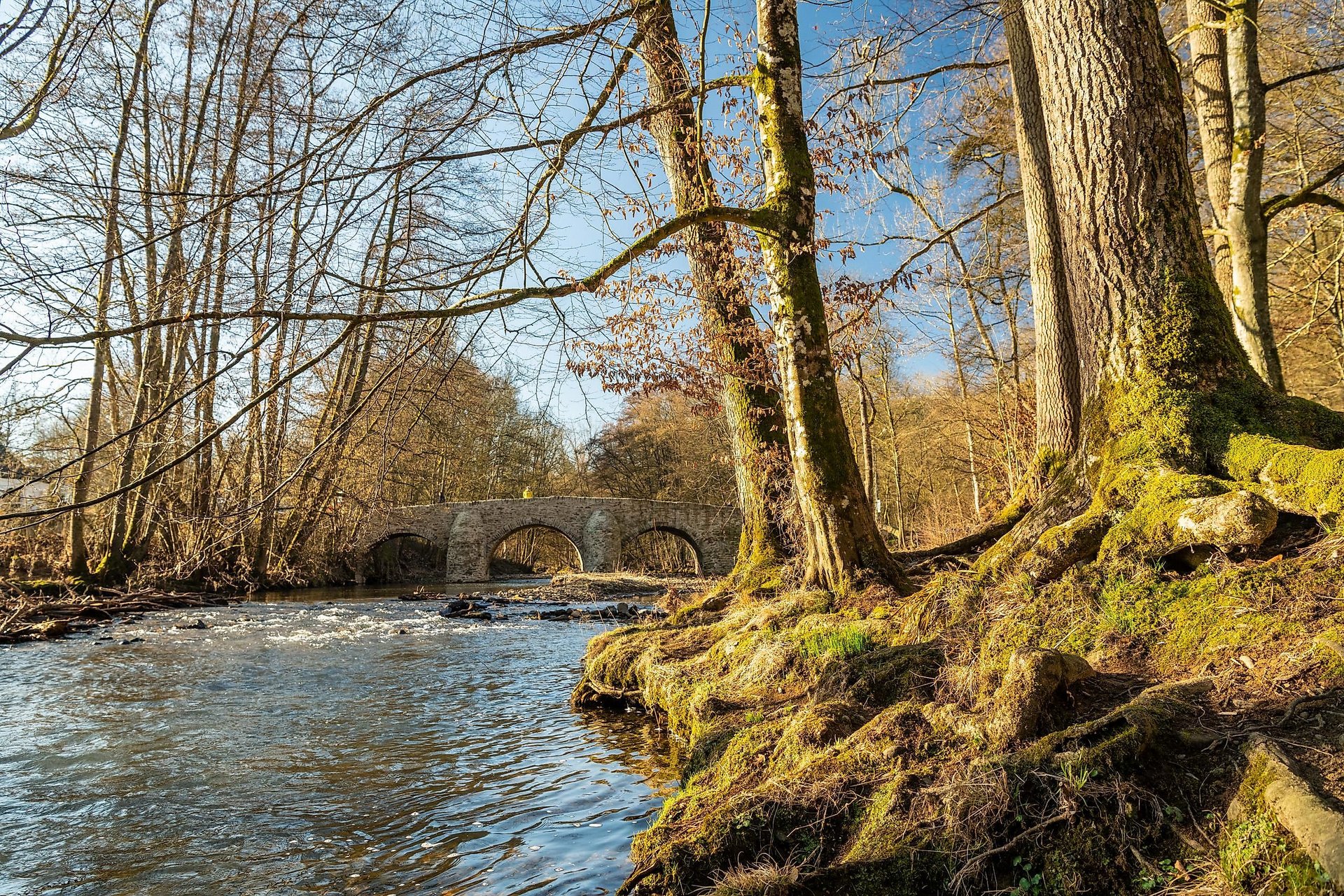 Nister bei Abtei Marienstatt