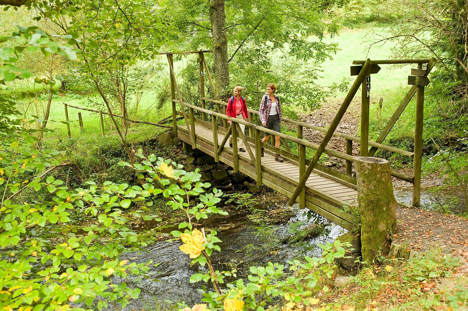 Brücke über die Nister