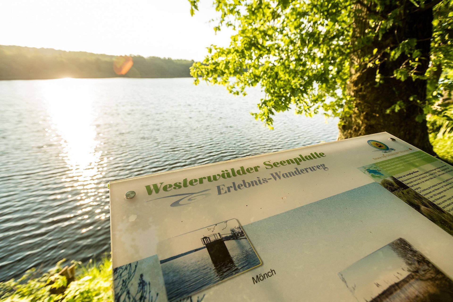 Infotafel am Dreifelder Weiher