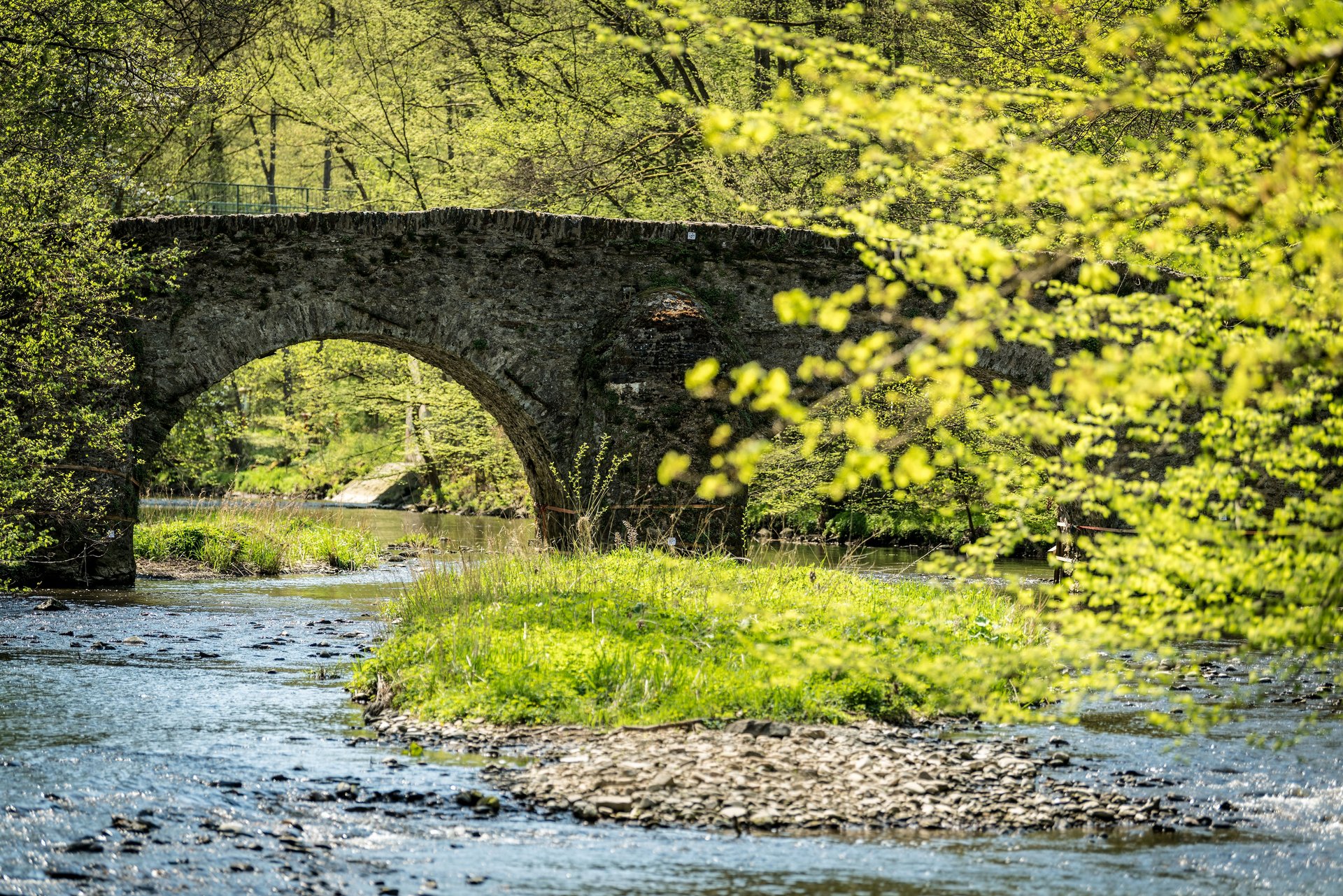 Historische Nisterbrücke in Marienstatt