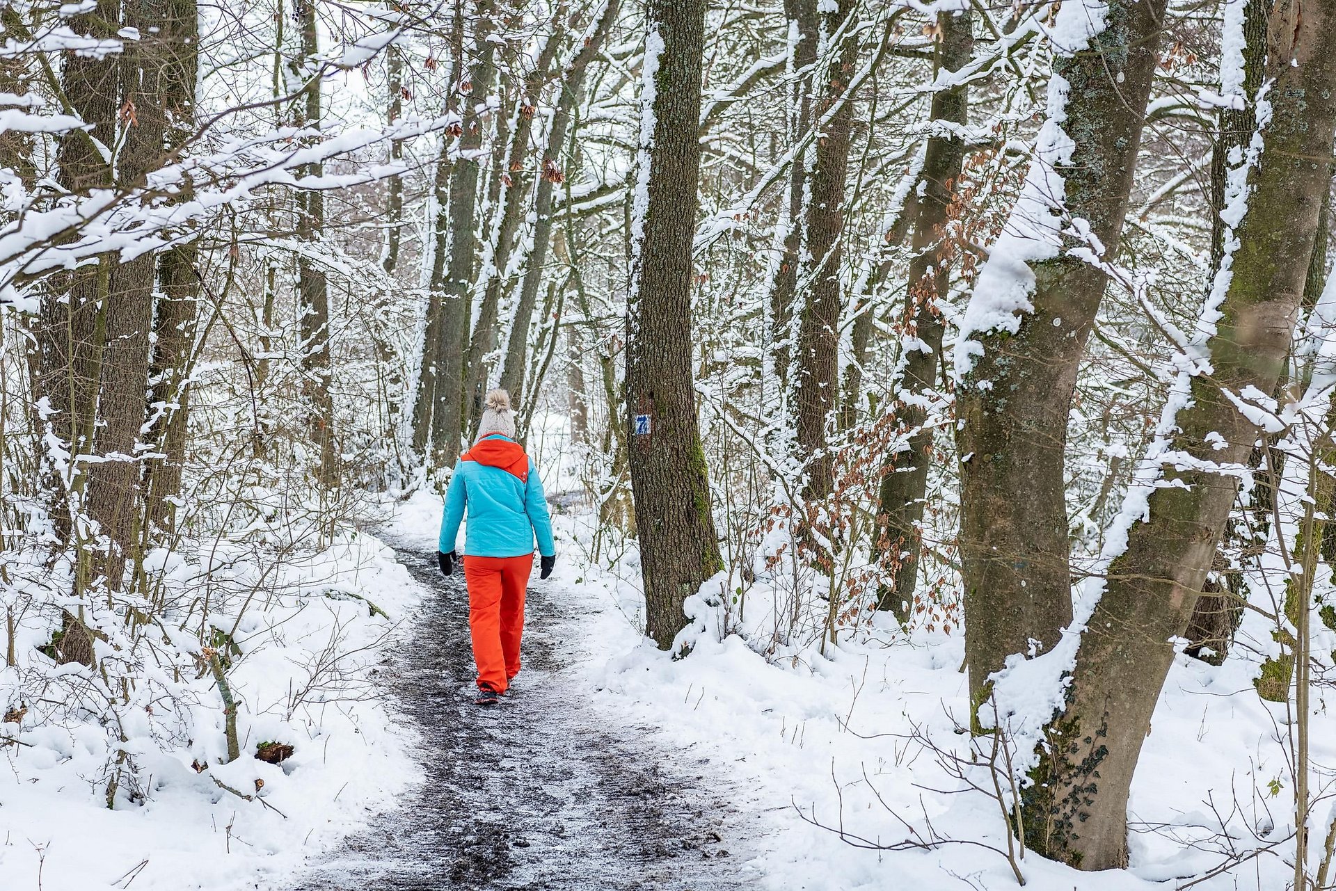 Wandern am Dreifelder Weiher