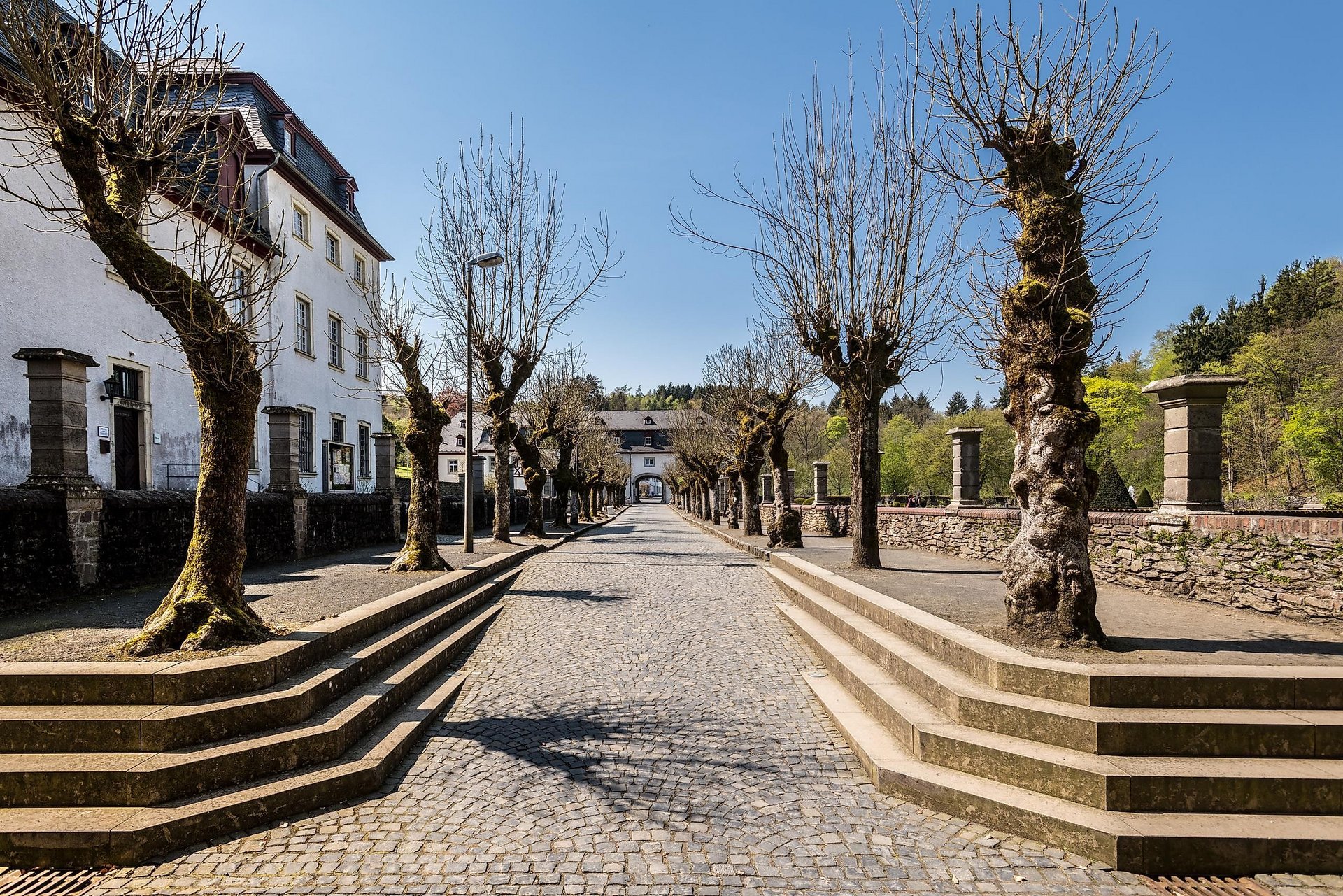 Kloster Allee im Herbst