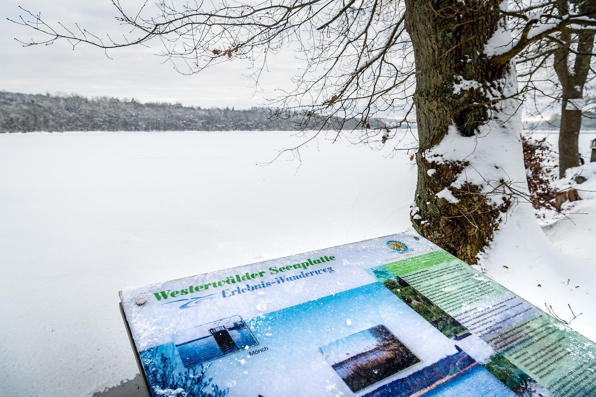 Infotafel am Dreifelder Weiher im Winter