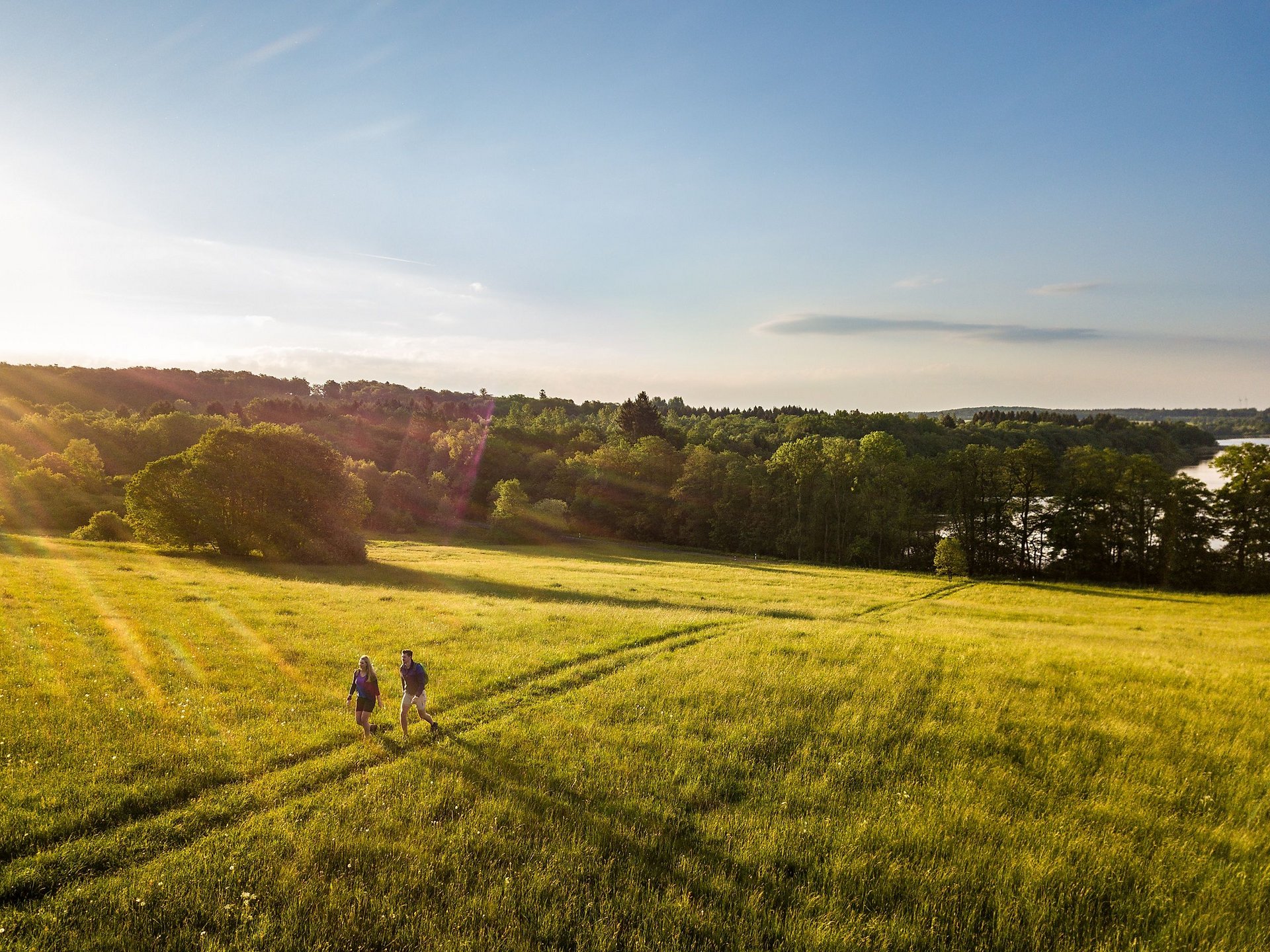 Wiese am Dreifelder Weiher