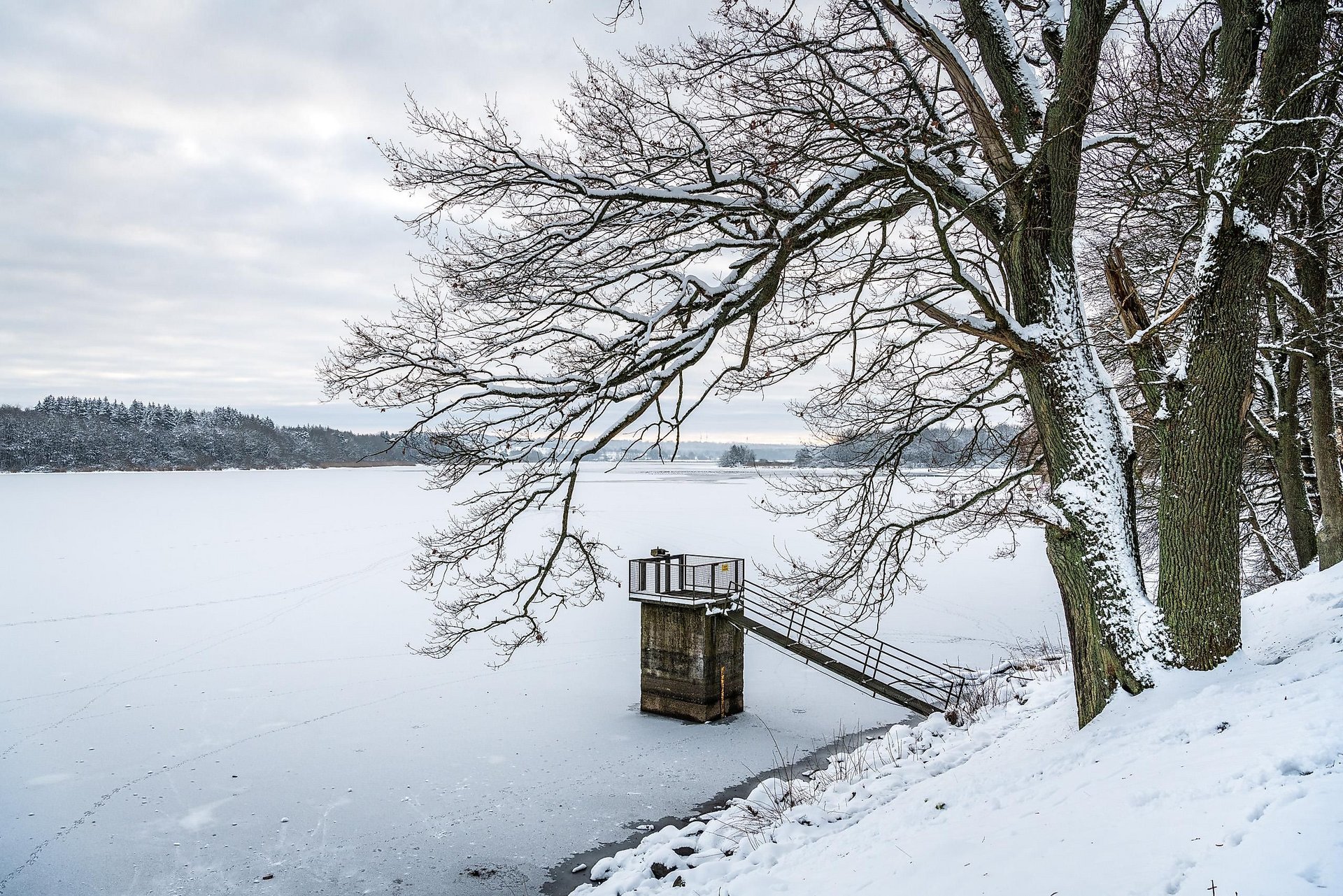 Dreifelder Weiher im Winter